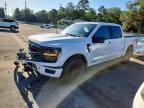 2025 Ford F150 XLT