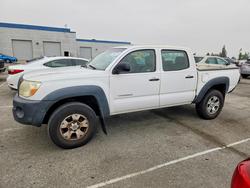 Toyota salvage cars for sale: 2010 Toyota Tacoma Prerunner V6