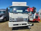 2024 Isuzu FTR BOX Truck