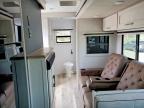 2025 Foresriver Surveyor M-267 Rbss
