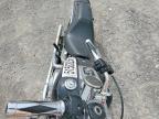 2008 Harley-Davidson Fxstc