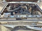 1988 Ford Ranger