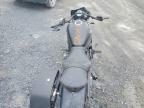2025 Kawasaki EN650 D