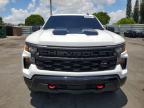 2024 Chevrolet Silverado K1500 Trail Boss Custom