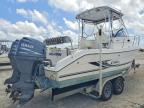 2003 Cobia Boats 2003 Cobia Boat 250 Walkaroung-Boat