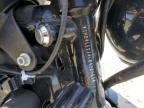 2020 Harley-Davidson XL883 N