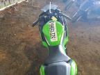 2025 Kawasaki EX500 H