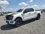2025 Ford F150 STX