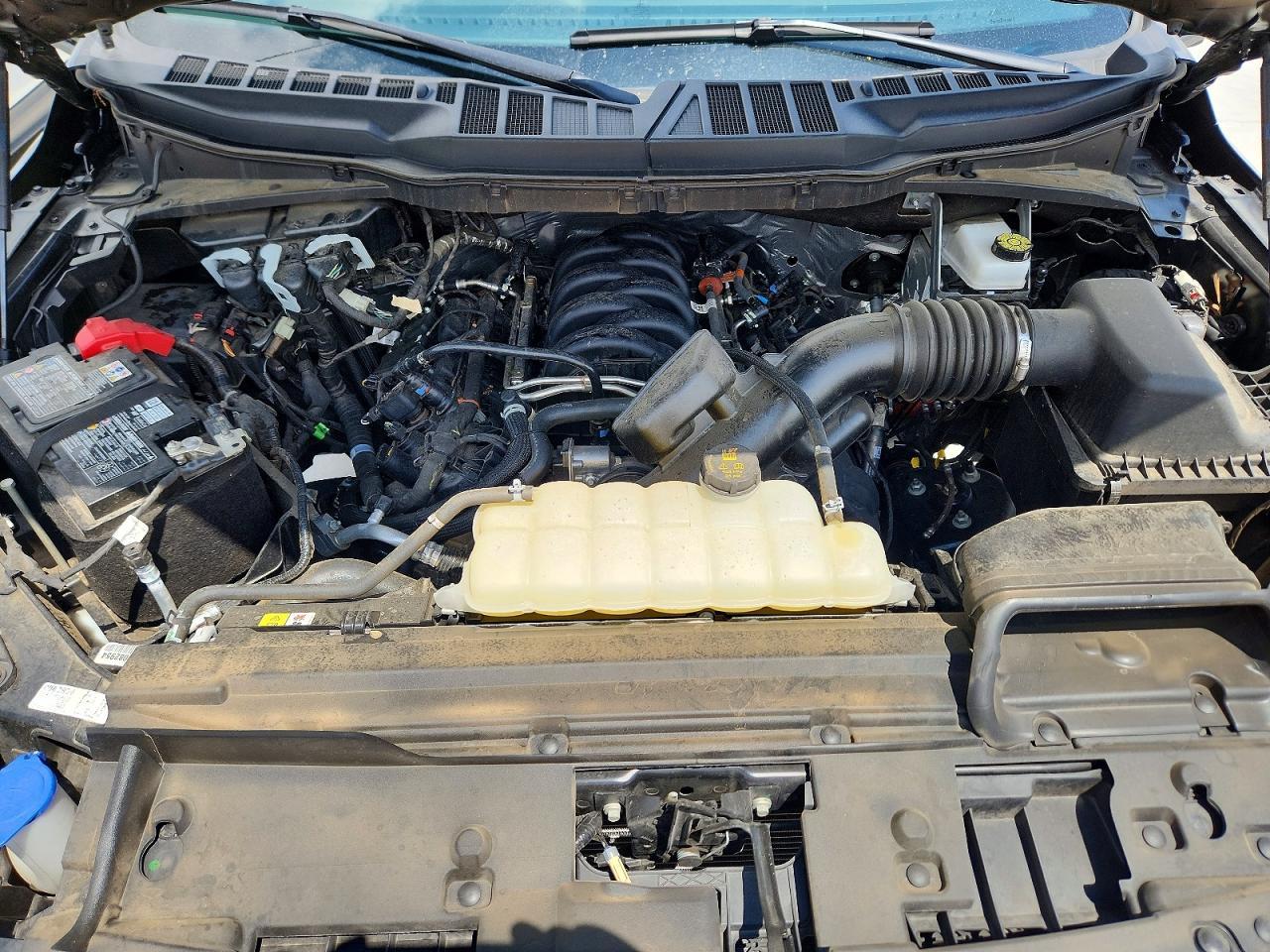2025 Ford F150 XLT