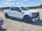 2025 Ford F150 STX