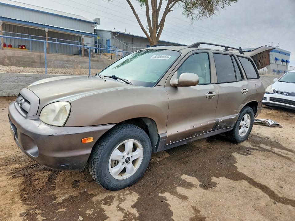 2005 Hyundai Santa fe gls