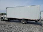 2025 International MV607 BOX Truck