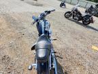 2005 Harley-Davidson XL1200 C
