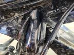 2025 Harley-Davidson Fltrx