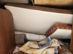 2014 Jayco O