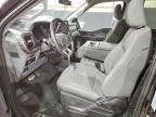 2025 Ford F150 XLT