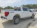 2025 Ford F150 XLT