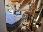 2021 Forrest River 2021 Forest River Arcticwolf Camper
