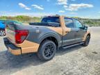 2025 Ford F150 XLT