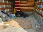2011 Isuzu 2007 Isuzu NQR BOX Truck