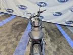 2024 Triumph Trident 660