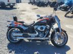 2025 Harley-Davidson Flfb