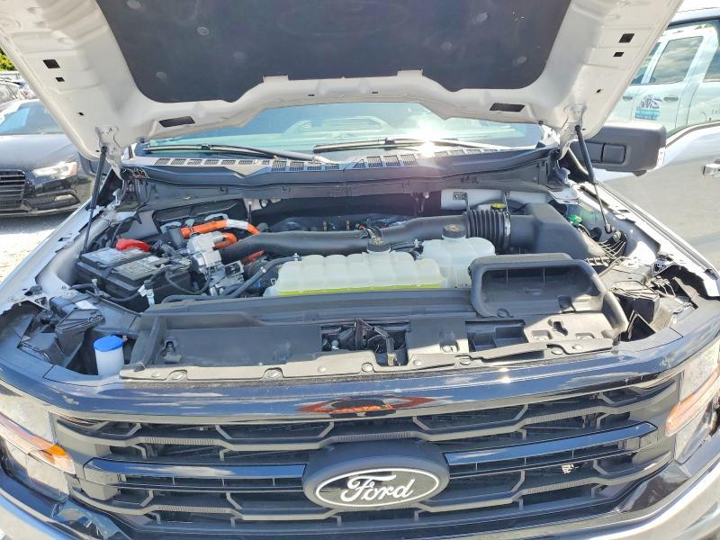 2025 Ford F150 XLT