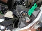 2026 Cf Moto 450SS