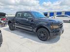 2025 Ford F150 XLT