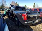 2025 Ford F150 XLT