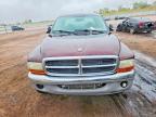 2004 Dodge Dakota Quad SLT