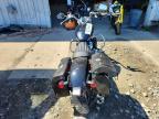 2023 Harley-Davidson Fxst