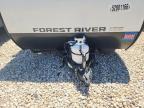 2025 Cherokee By Forest R Wolf PUP