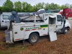 2012 International Terrastar