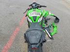 2025 Kawasaki Ninja ZX 10R