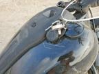 2024 Harley-Davidson Fxlrst