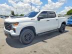 2024 Chevrolet Silverado K1500 Trail Boss Custom