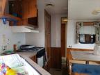 1999 Nomad 1999 Skyline Nomad Camper