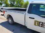 2023 Ford F150