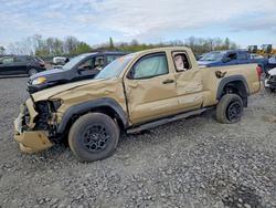 Vehiculos salvage en venta de Copart Duryea, PA: 2019 Toyota Tacoma SR V6