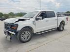 2025 Ford F150 XLT