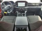 2025 Ford F150 XLT