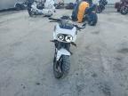 2024 Cf Moto Papio SS