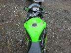 2024 Kawasaki ZX636 K