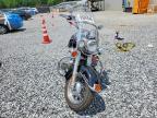 2001 Harley-Davidson Flstci