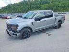 2025 Ford F150 XLT