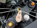 2025 Yamaha YZFR7
