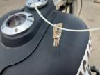 2000 Harley-Davidson MC Trailer
