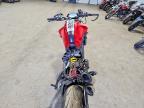 2024 Ducati Monster