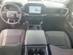 2025 Ford F150 STX